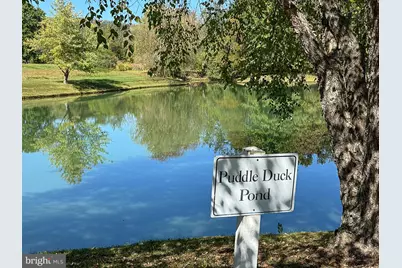 35940 Birch Hollow Lane, Hillsboro, VA 20132 - Photo 10