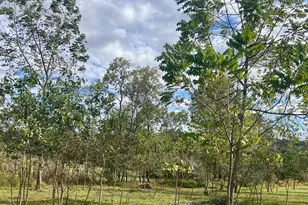 36169 Silcott Meadow Pl, Purcellville, VA 20132 - Photo 56