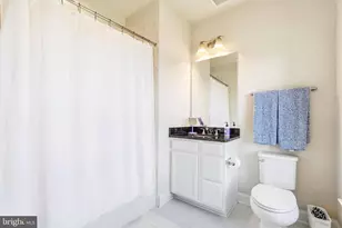 16217 Waterford Crest Pl, Paeonian Springs, VA 20129 - Photo 74