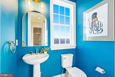 16217 Waterford Crest Place, Paeonian Springs, VA 20129 - Photo 48