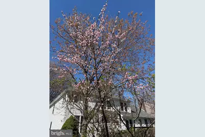 105 Whitney Place NE, Leesburg, VA 20176 - Photo 52