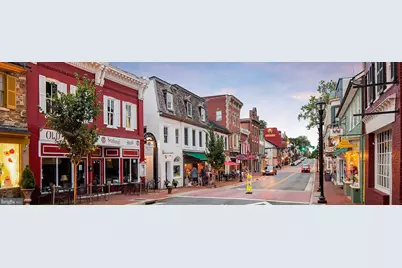 105 Whitney Place NE, Leesburg, VA 20176 - Photo 62