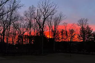 18940 Airmont Rd, Purcellville, VA 20132 - Photo 90