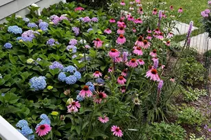 18940 Airmont Rd, Purcellville, VA 20132 - Photo 86