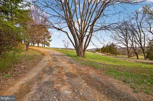 40246 Thomas Mill Rd, Leesburg, VA 20175 - Photo 10