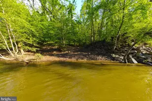 19468 Mill Dam Pl, Leesburg, VA 20176 - Photo 114