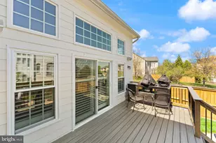 19066 Crimson Clover Terrace, Leesburg, VA 20176 - Photo 62