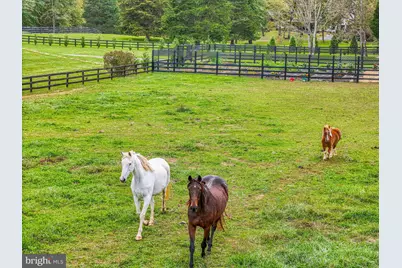 23333 Four Chimneys Lane, Middleburg, VA 20117 - Photo 46