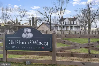 23427 Spice Bush Terrace, Brambleton, VA 20148 - Photo 66