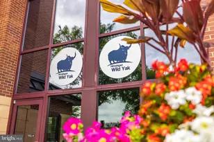 23427 Spice Bush Terrace, Brambleton, VA 20148 - Photo 54