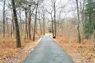 43549 Coal Bed Ct, Ashburn, VA 20147 - Photo 44