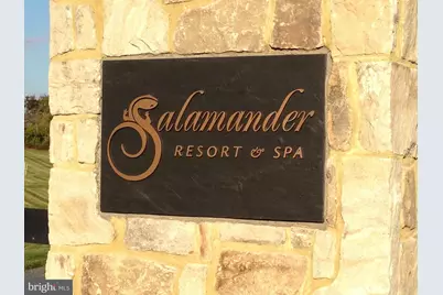 23533 Light Horse Court #UNIT - T, Middleburg, VA 20117 - Photo 20