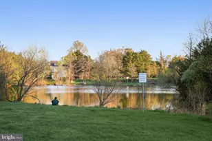 23117 Cottonwillow Sq, Brambleton, VA 20148 - Photo 74