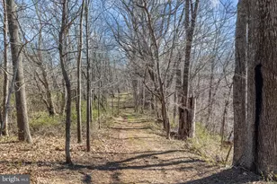 36025 Snickersville Turnpike, Purcellville, VA 20132 - Photo 106