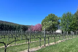 16120 Mountain Ridge Ln, Hillsboro, VA 20132 - Photo 8