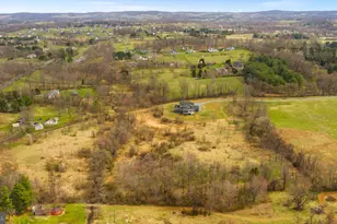 38149 John Wolford Rd, Hillsboro, VA 20132 - Photo 70