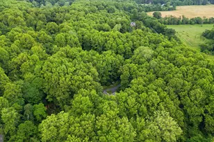 38074 Stevens Rd, Lovettsville, VA 20180 - Photo 68
