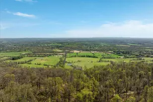 17352 Raven Rocks Rd, Bluemont, VA 20135 - Photo 58