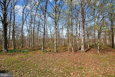 21733 Oatlands Road, Aldie, VA 20105 - Photo 48