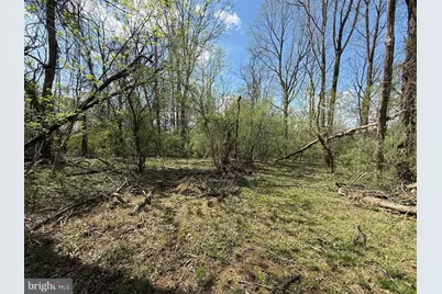 Philomont Rd, Purcellville, VA 20132 - Photo 6