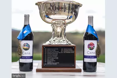 38600 Little River Tpke Turnpike, Middleburg, VA 20117 - Photo 8