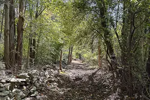 35940 Birch Hollow Ln, Purcellville, VA 20132 - Photo 70