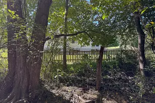 35940 Birch Hollow Ln, Purcellville, VA 20132 - Photo 62