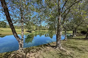 35940 Birch Hollow Ln, Purcellville, VA 20132 - Photo 66