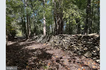 35940 Birch Hollow Lane, Purcellville, VA 20132 - Photo 74