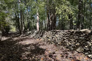 35940 Birch Hollow Ln, Purcellville, VA 20132 - Photo 74