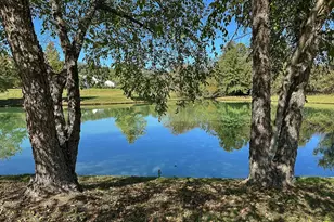 35940 Birch Hollow Ln, Purcellville, VA 20132 - Photo 6