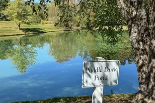 35940 Birch Hollow Ln, Purcellville, VA 20132 - Photo 68