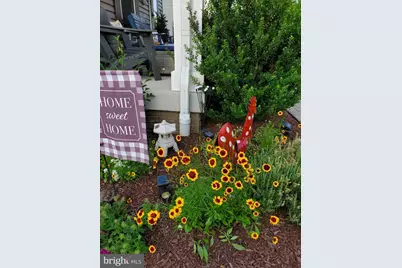 15 S Locust Street, Lovettsville, VA 20180 - Photo 56