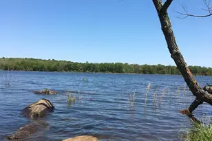 42010 Mill Quarter Pl, Ashburn, VA 20148 - Photo 64