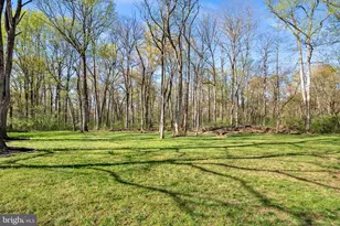 43464 Evans Pond Rd, Leesburg, VA 20176 - Photo 64