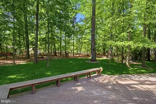 407 Autumn Olive Way, Sterling, VA 20164 - Photo 38