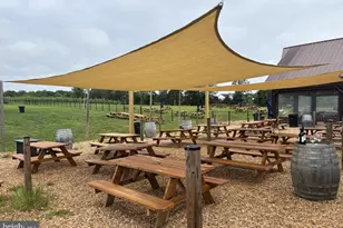 41231 Windfall Dr, Aldie, VA 20105 - Photo 20