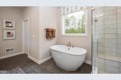 Tbb McElnea Manor Court #RICHMOND, Lovettsville, VA 20180 - Photo 42