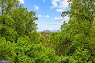 12707 Furnace Mountain Rd, Lovettsville, VA 20180 - Photo 10