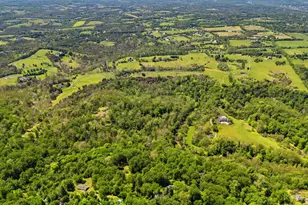 12707 Furnace Mountain Rd, Lovettsville, VA 20180 - Photo 126