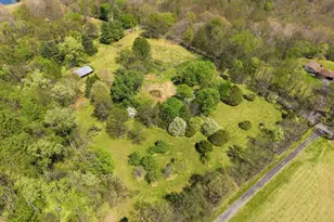13121 Orrison Rd, Lovettsville, VA 20180 - Photo 10