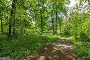 20711 Blue Ridge Mountain Rd, Paris, VA 20130 - Photo 72