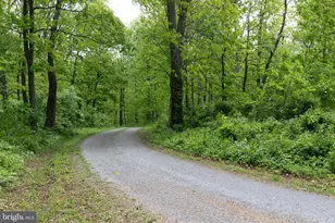 20711 Blue Ridge Mountain Rd, Paris, VA 20130 - Photo 82