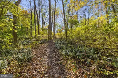 20962 Beaverdam Bridge Road, Middleburg, VA 20117 - Photo 10