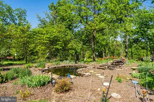 35130 Paxson Rd, Round Hill, VA 20141 - Photo 48