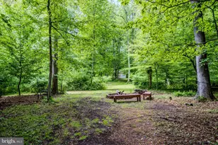 40935 Grenata Preserve Pl, Leesburg, VA 20175 - Photo 132