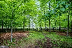 40935 Grenata Preserve Pl, Leesburg, VA 20175 - Photo 130