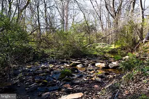 37275 Charles Town Pike, Hillsboro, VA 20132 - Photo 30