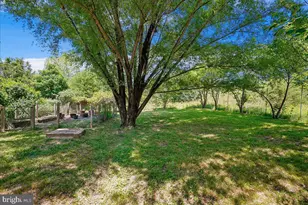 41065 Hickory Shade Ln, Lovettsville, VA 20180 - Photo 64