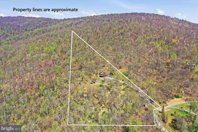 19897 Forest Hill Lane, Bluemont, VA 20135 - Photo 38